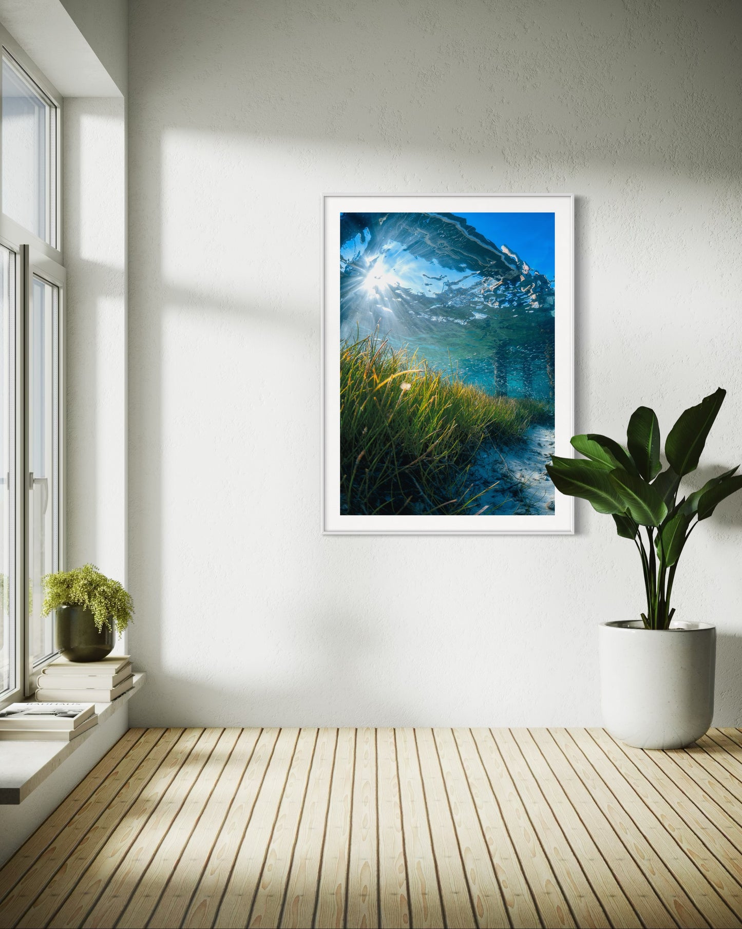 Underwater Meadows
