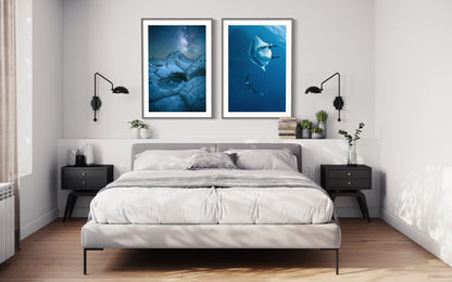 Cosmic Dreamscape