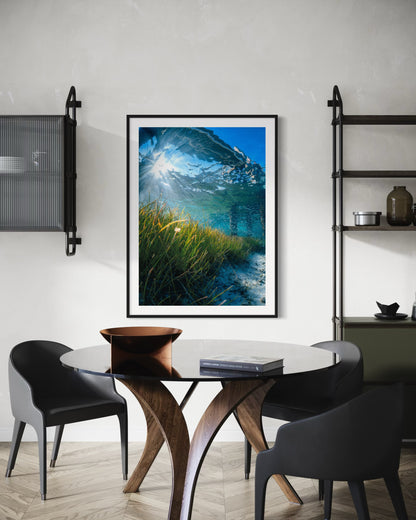 Underwater Meadows